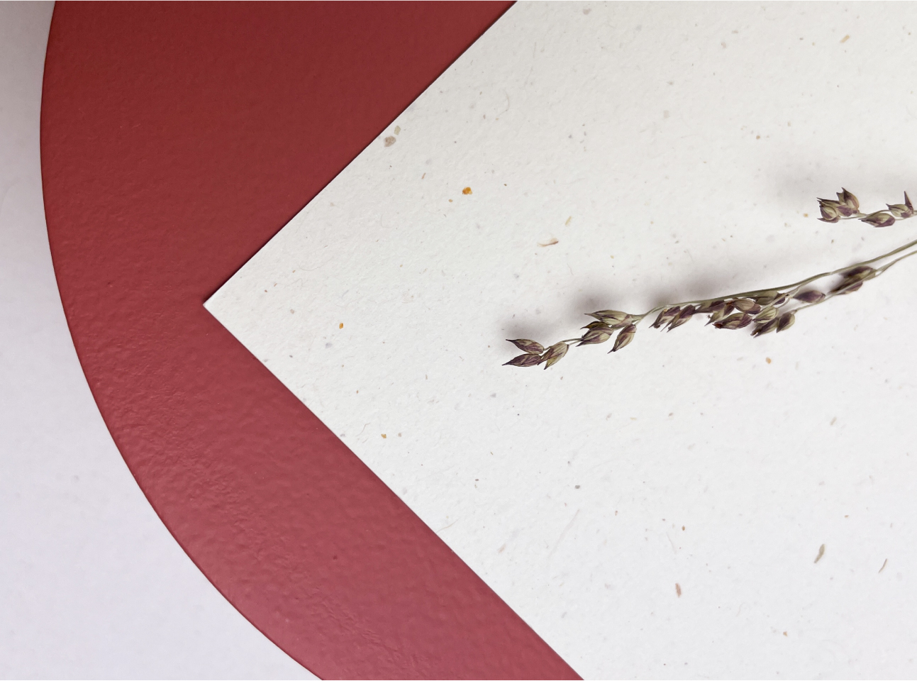 prachtig papier met textuur en spikkels